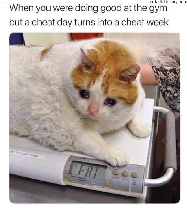 Learn English With Memes: Cheat Day to Week