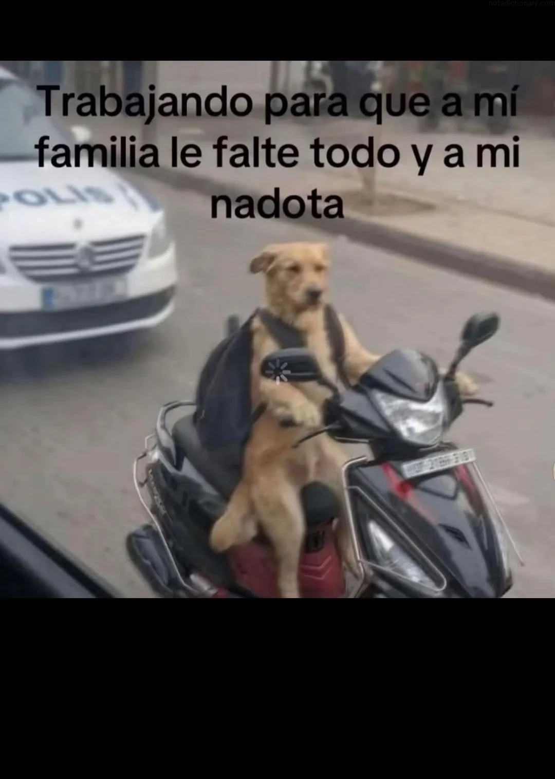 Learn Spanish With Memes: El Sacrificio Familiar