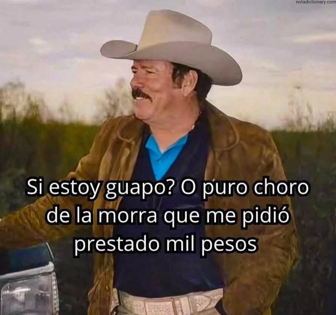 Learn Spanish With Memes: Guapo or Choro?