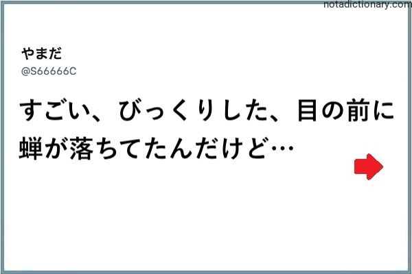 Learn Japanese With Memes: Shocked By Cicada