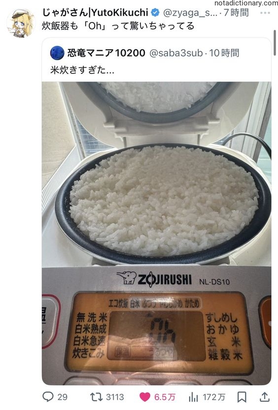Learn Japanese With Memes: Oh! Rice Overcooked