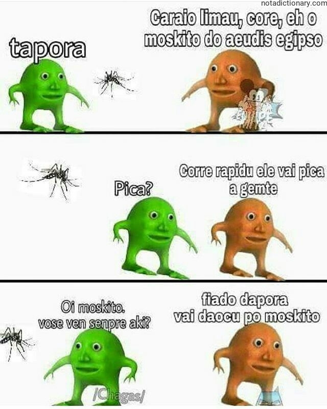Learn Portuguese With Memes: O Mosquito Aedes Aegypti