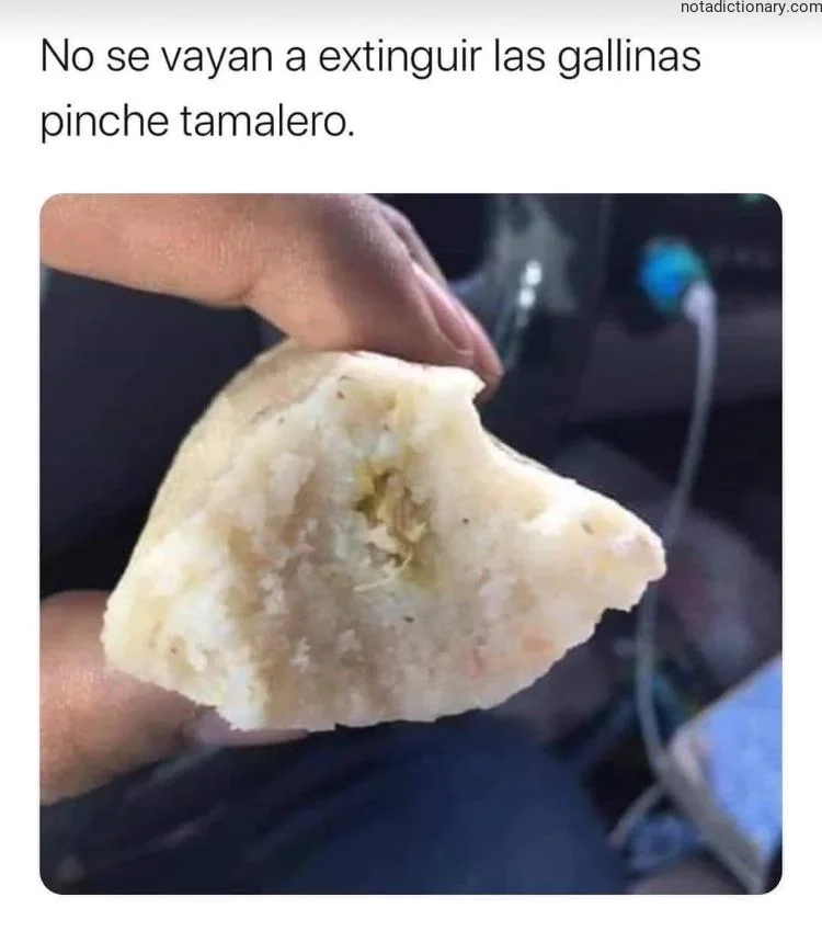 Learn Spanish With Memes: Extinction of the Chicken