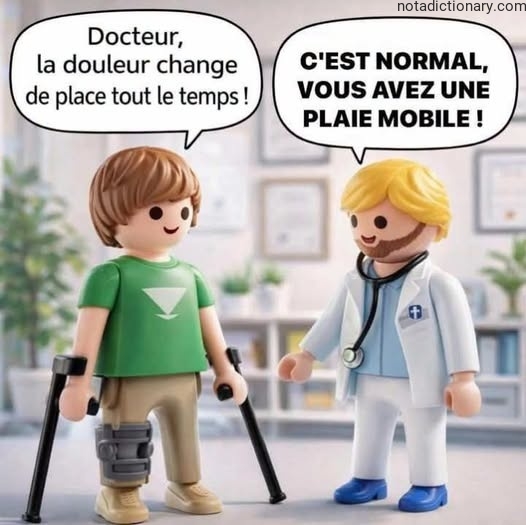 Learn French With Memes: Mobile Pain
