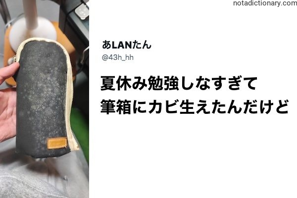 Learn Japanese With Memes: Summer Study Overkill