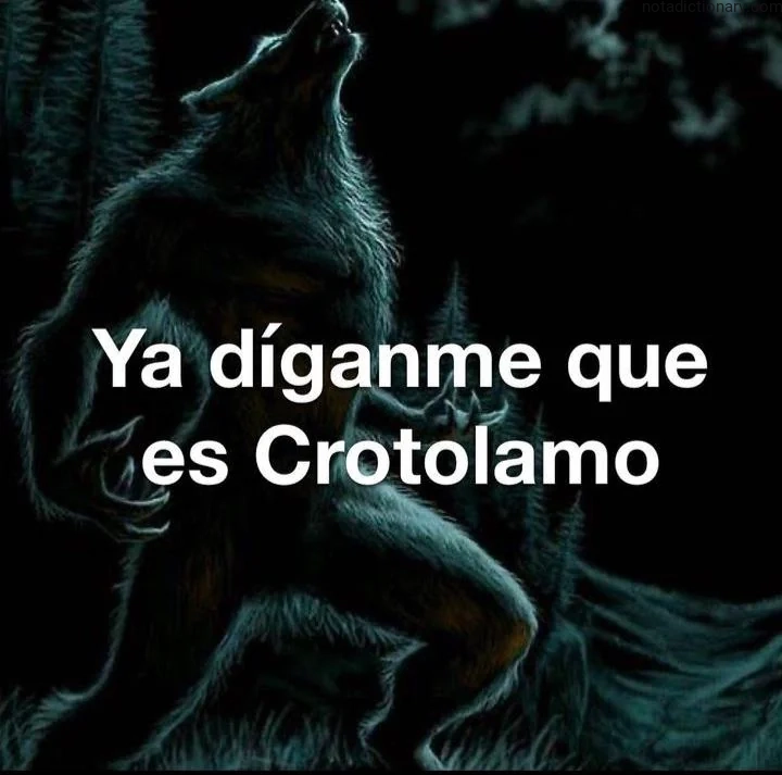 Learn Spanish With Memes: La Locura de Crotolamo