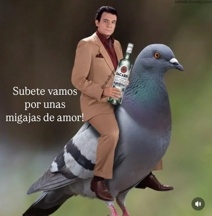 Learn Spanish With Memes: Migajas de Amor