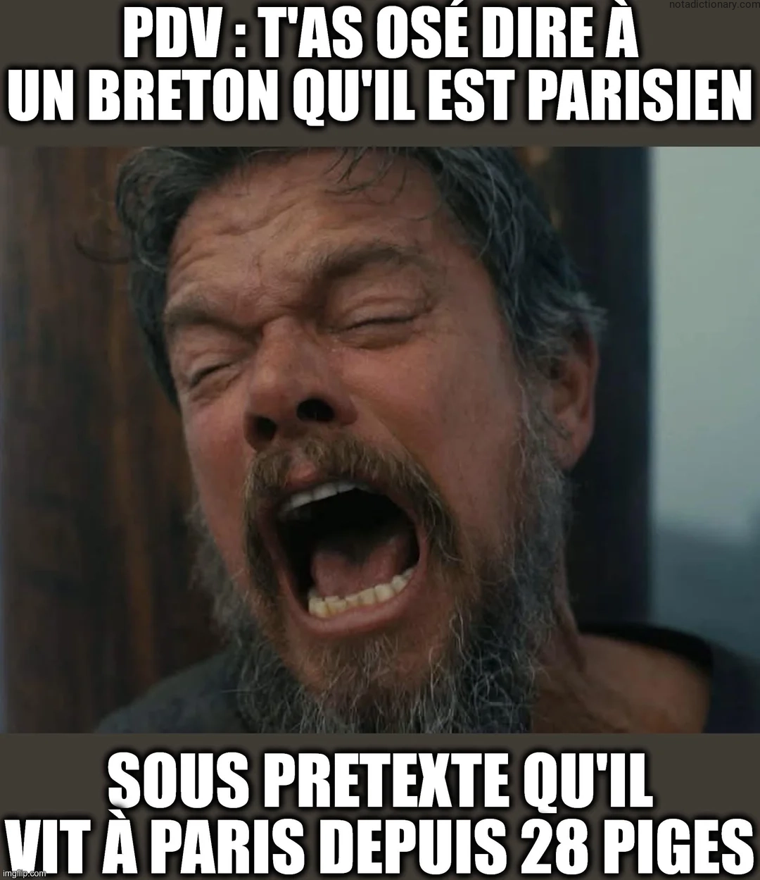 Learn French With Memes: Le Préjugé Breton