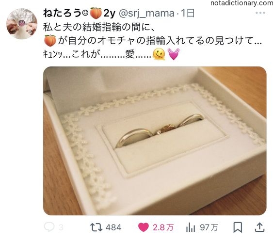 Learn Japanese With Memes: My Husband’s Toy Ring