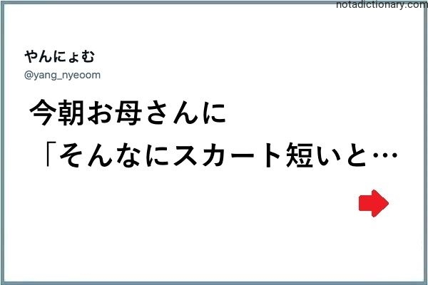 Learn Japanese With Memes: Short Skirt Warning
