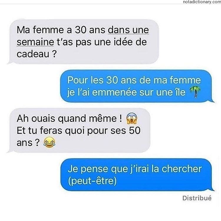 Learn French With Memes: The Ultimate Gift Idea