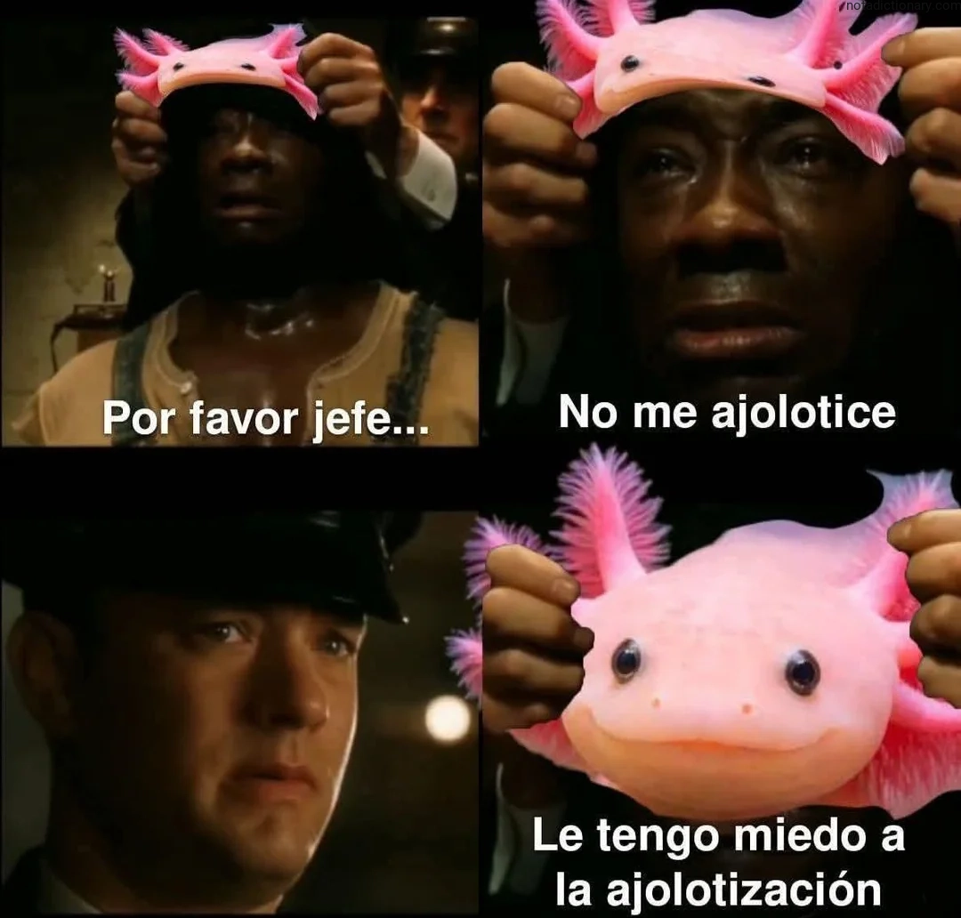 Learn Spanish With Memes: El Miedo al Ajolote