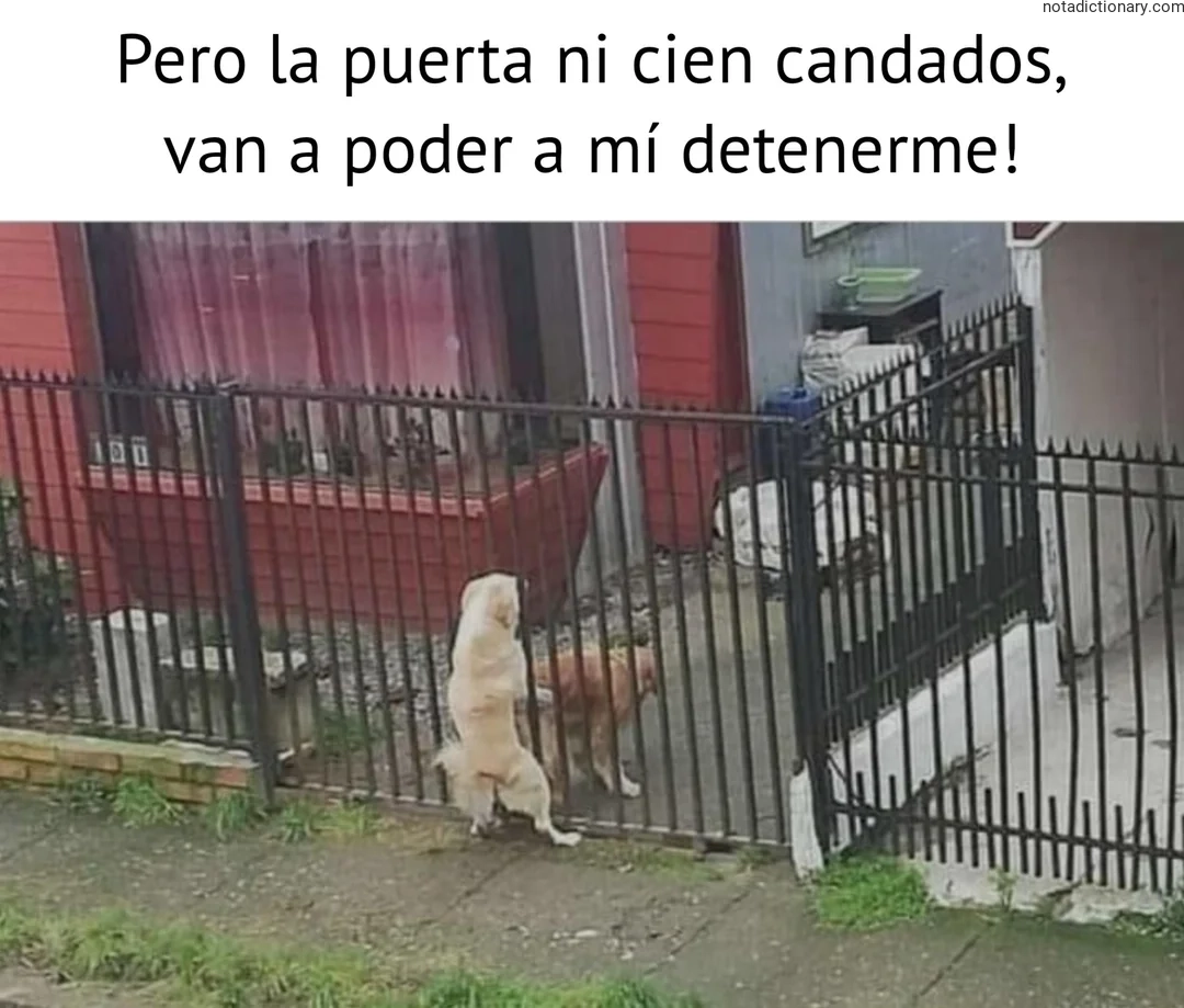 Learn Spanish With Memes: La Puerta Que No Detiene