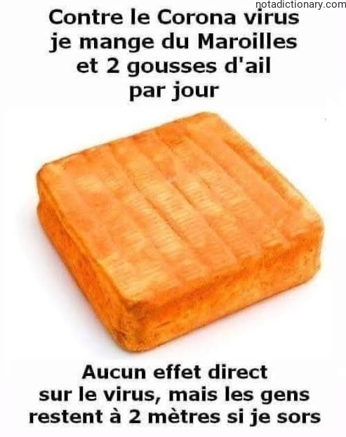 Learn French With Memes: Garlic & Cheese Defense