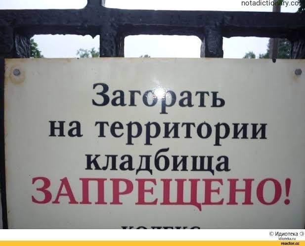 Learn Russian With Memes: Cemetery Tanning Ban