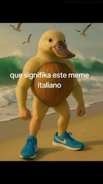 Learn Spanish With Memes: Italian Meme Meaning