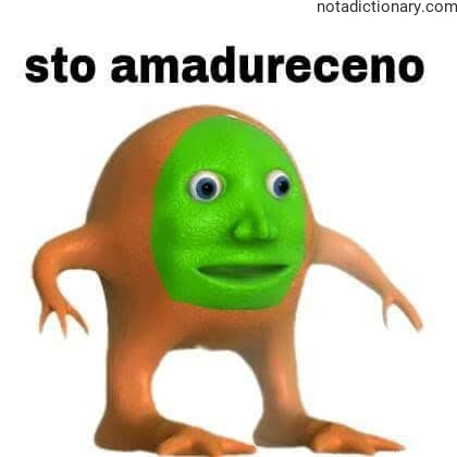 Learn Italian With Memes: Sto Amadureceno Error