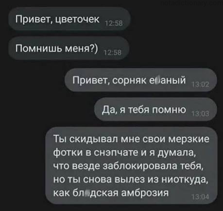 Learn Russian With Memes: Toxic Ex-Texting