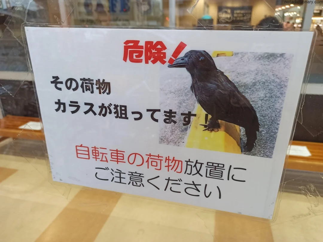 Learn Japanese With Memes: The Dangerous Crow