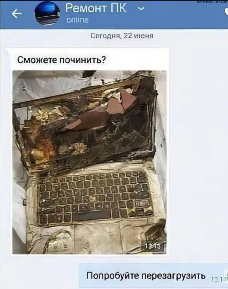 Learn Russian With Memes: Can You Fix It?