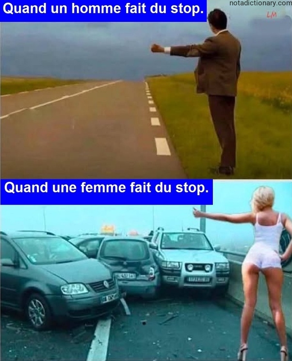 Learn French With Memes: Hitchhiking Humor
