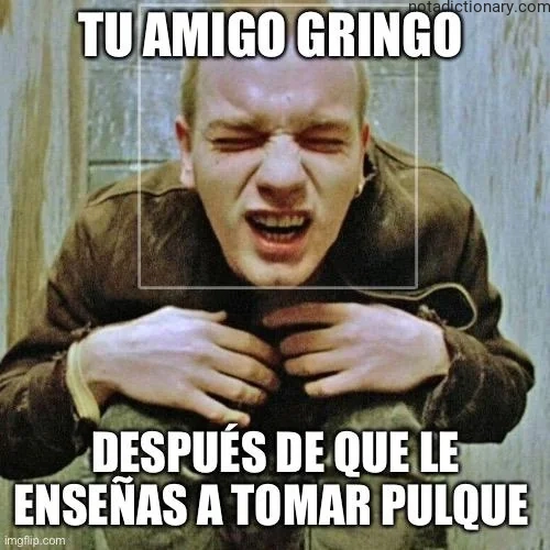 Learn Spanish With Memes: Gringo Pulque Lesson