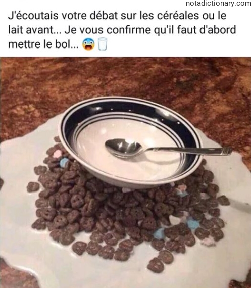 Learn French With Memes: Cereal Logic