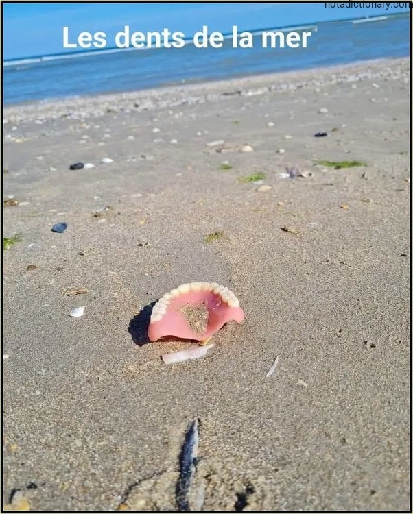 Learn French With Memes: Les Dents De La Mer