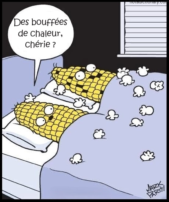 Learn French With Memes: Hot Flashes Explained