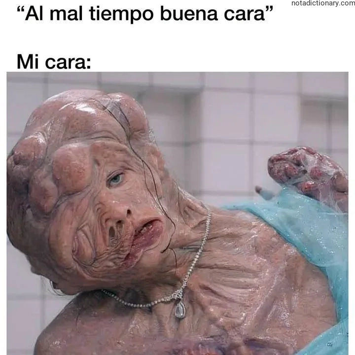 Learn Spanish With Memes: Al Mal Tiempo Buena Cara