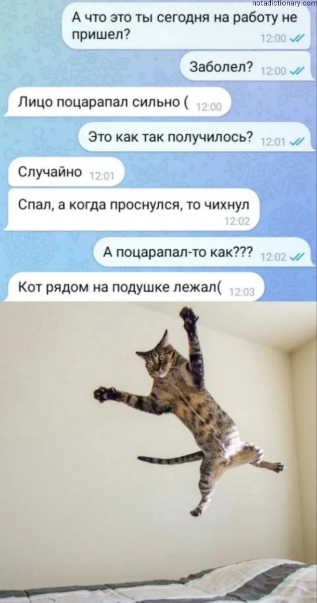 Learn Russian With Memes: Accidental Cat Scratch