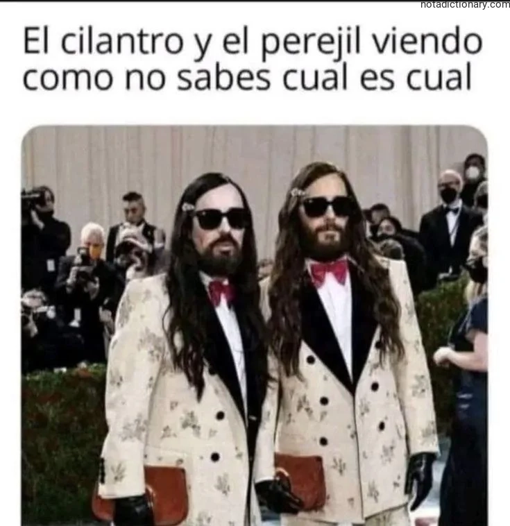 Learn Spanish With Memes: Cilantro vs Parsley