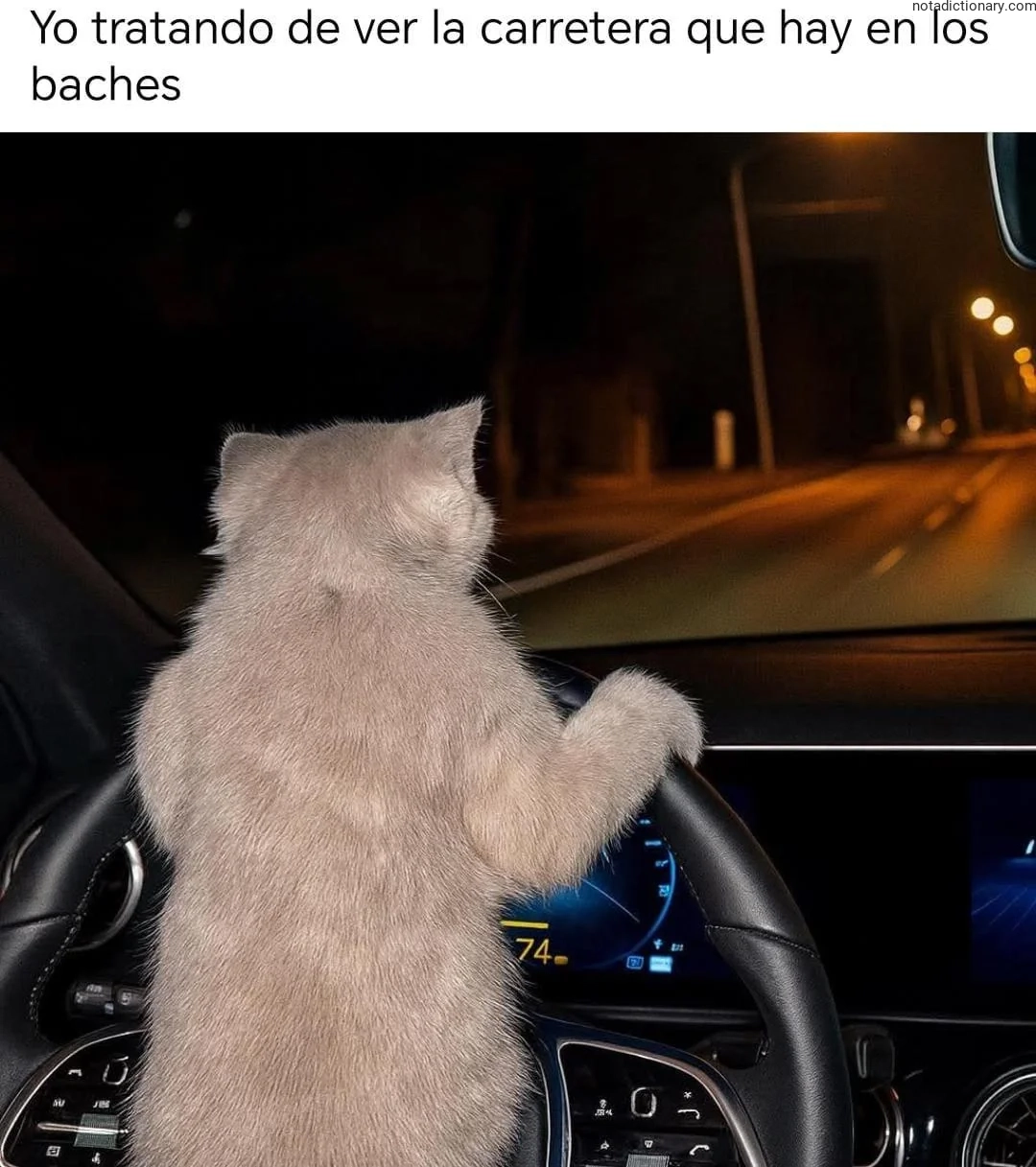 Learn Spanish With Memes: Baches Y Carreteras