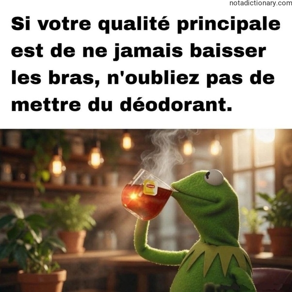 Learn French With Memes: Ne Jamais Baisser Les Bras