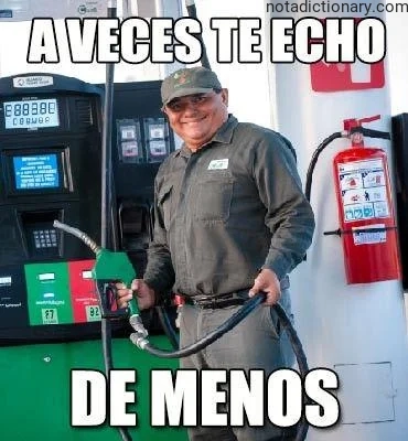 Learn Spanish With Memes: Te Echo De Menos