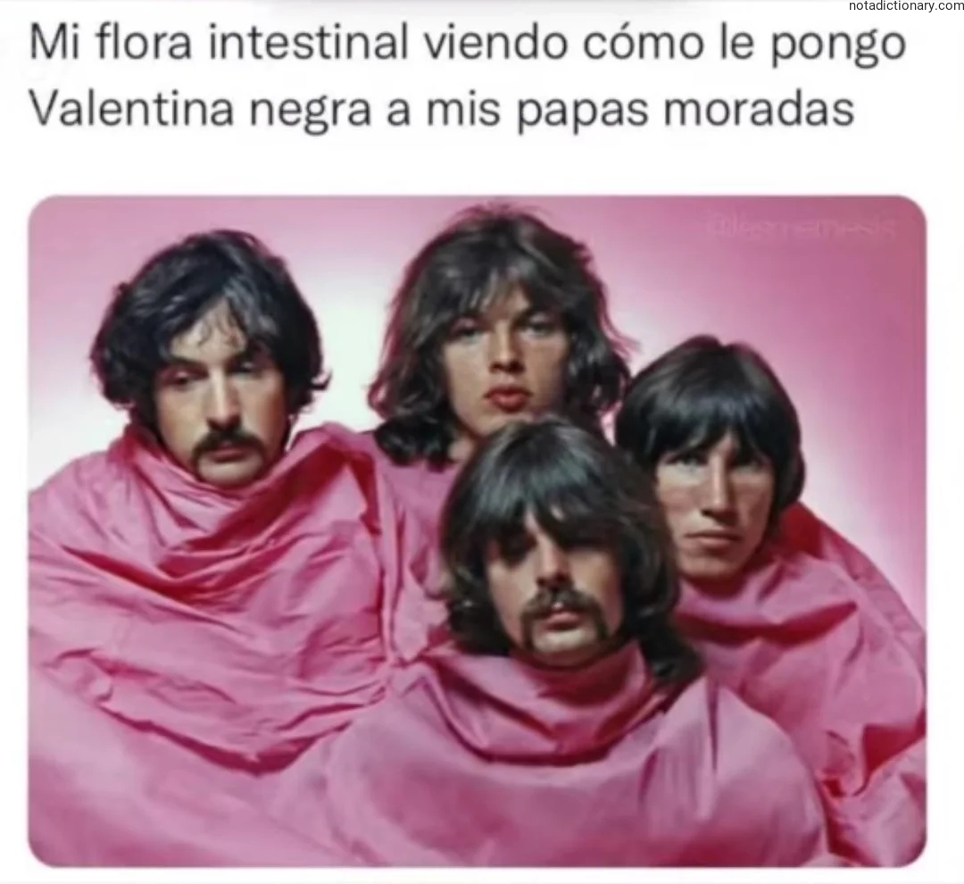 Learn Spanish With Memes: Flora Intestinal Humor