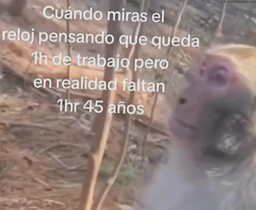 Learn Spanish With Memes: El Tiempo Que Pasa