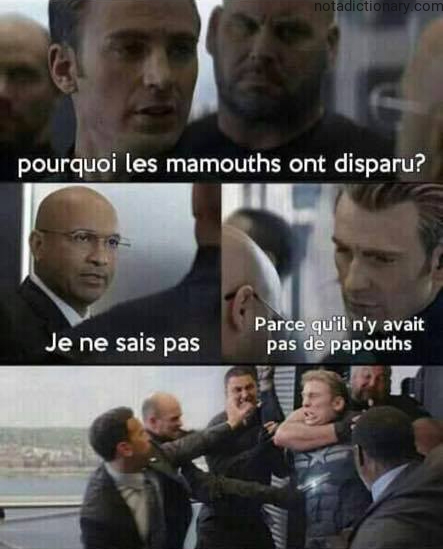 Learn French With Memes: Mammoth Vocabulary