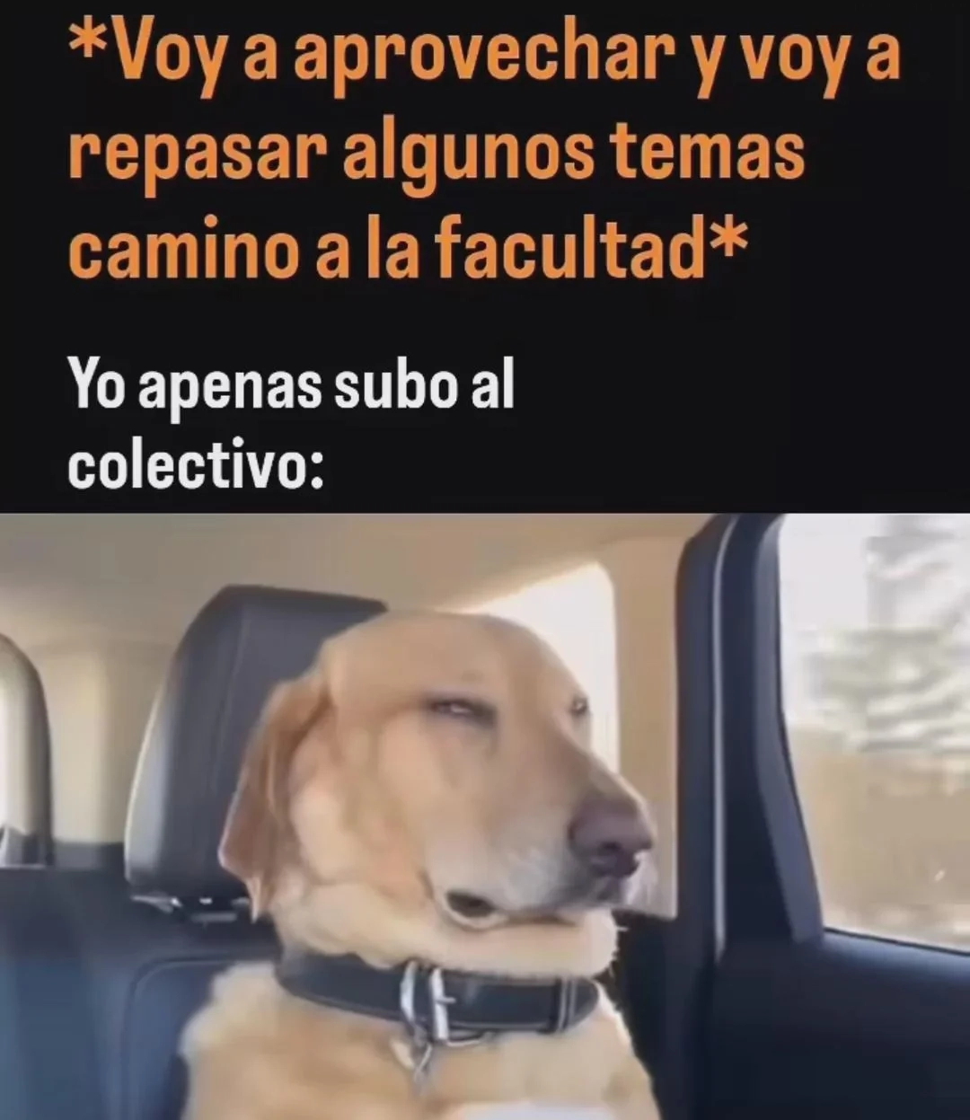 Learn Spanish With Memes: Procrastination on the Bus
