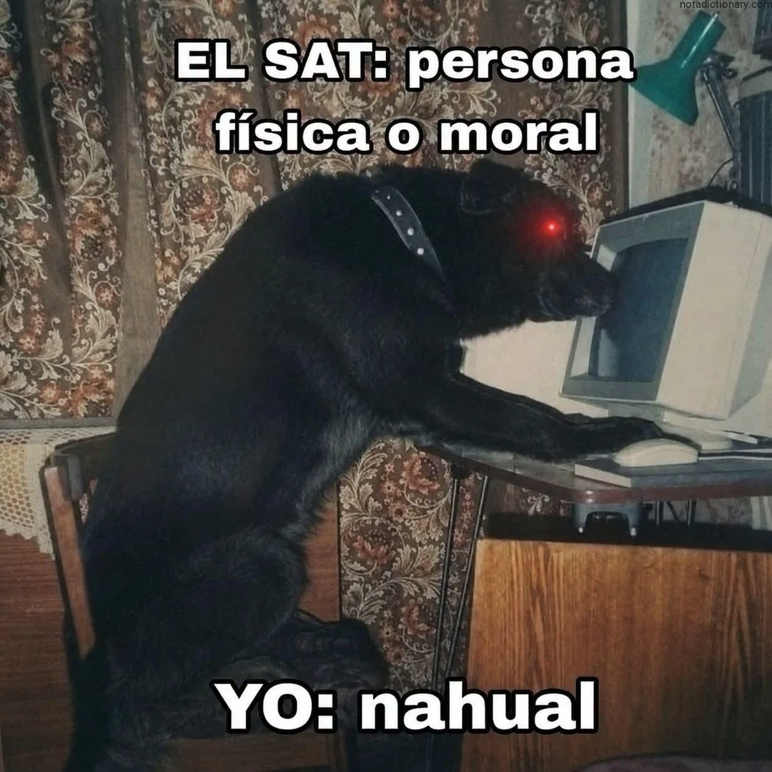 Learn Spanish With Memes: Nahual vs SAT