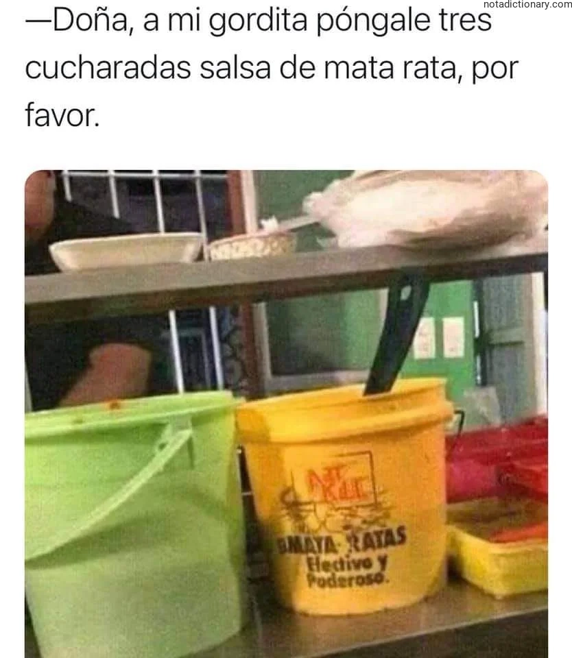 Learn Spanish With Memes: Mata Rata Sauce