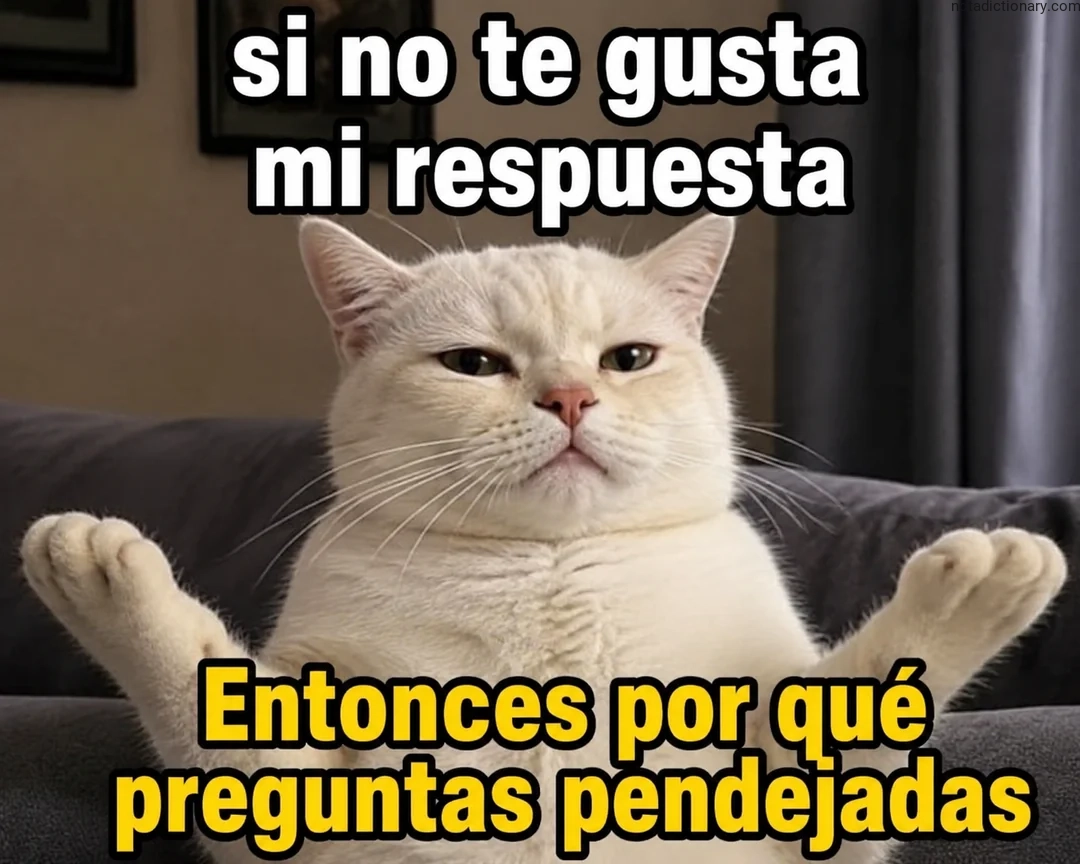 Learn Spanish With Memes: Respuestas y Pendejadas