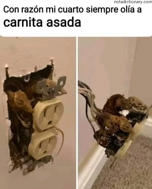 Two photos of a burnt electrical outlet representing the Spanish phrase 'Carnita asada' which means grilled meat, used here humorously to explain why a room smells.