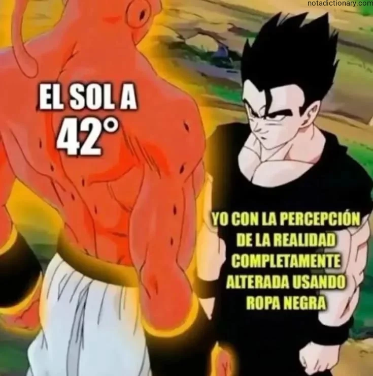 Goku sweating in a heatwave representing the Spanish phrase 'La percepción de la realidad completamente alterada' when speaking about extreme weather conditions