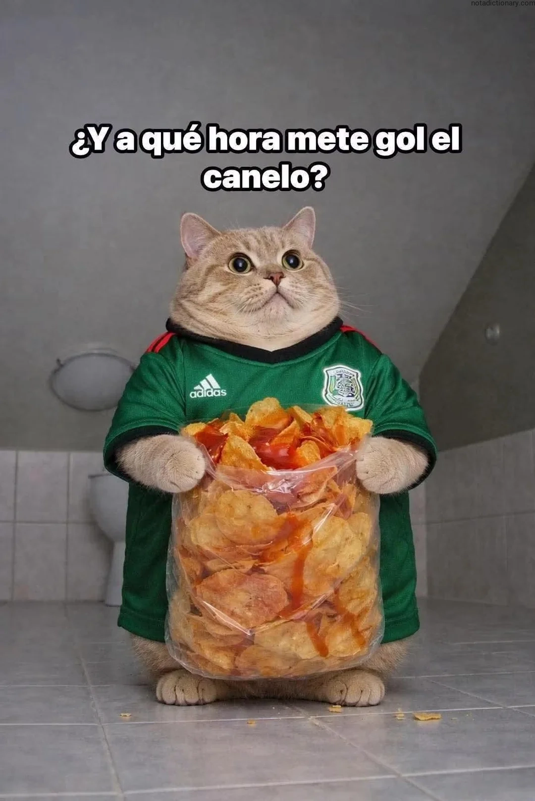 A cat in a green soccer jersey holding a bag of chips representing the Spanish phrase ¿Y a qué hora mete gol el canelo? when speaking about scoring goals.