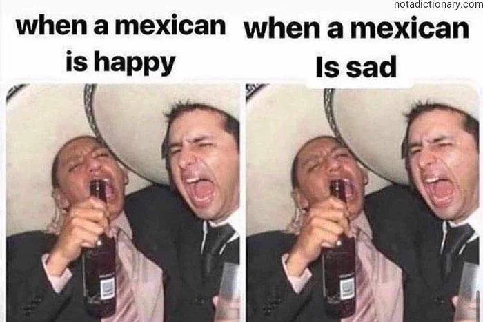 Two-panel meme showing a man in a sombrero drinking beer. Left panel text says 'when a mexican is happy' and the man is laughing joyfully. Right panel text says 'when a mexican is sad' and the man is screaming while holding a bottle. This visual represents English idioms for extreme happiness and sadness.