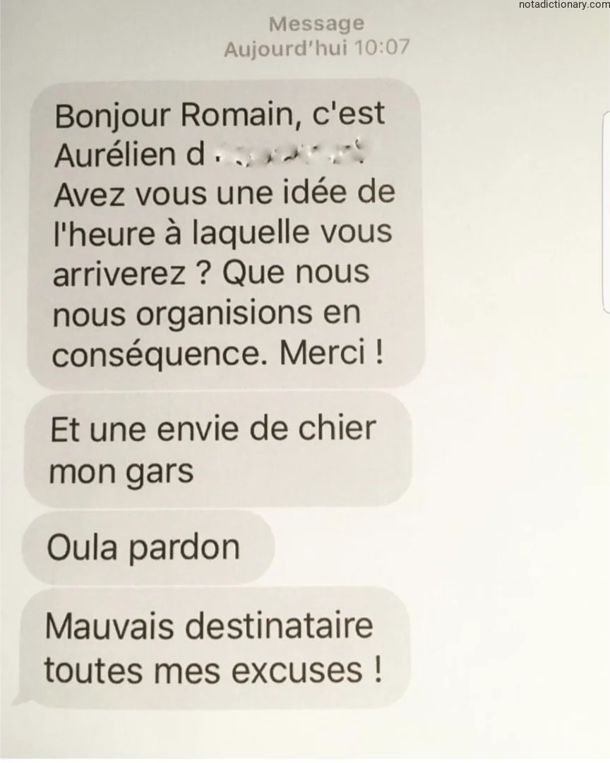 Learn French With Memes: The Awkward Typo