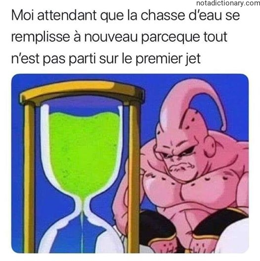 Learn French With Memes: La Chasse D’Eau