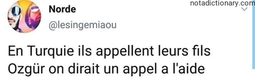 Learn French With Memes: Ozgur Name Meaning