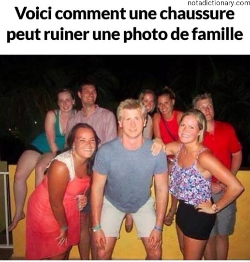 Learn French With Memes: Ruined Family Photos